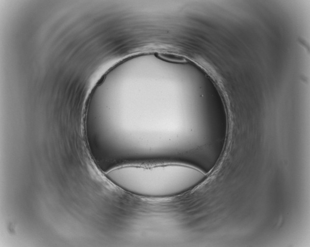 X0000101421296200807071022