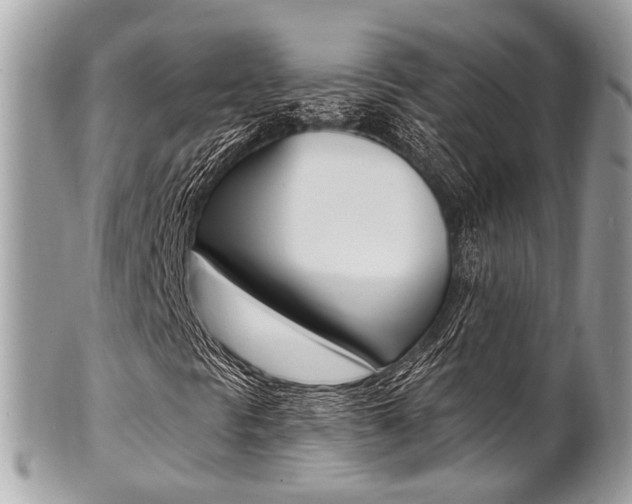 X0000101421297200807071021