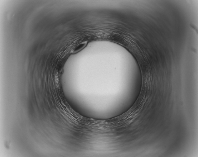 X0000101421298200807071021