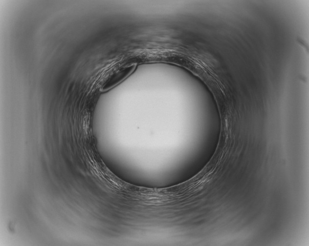 X0000101421300200807071021