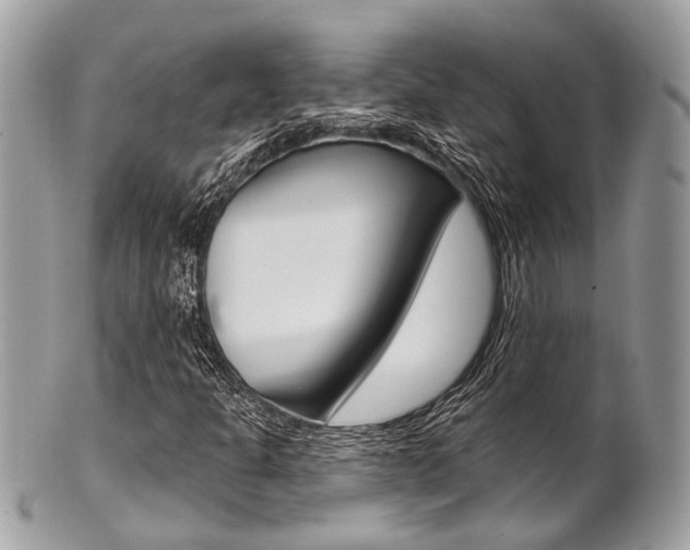 X0000101421301200807071021