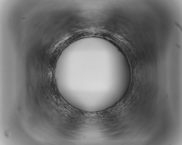 X0000101421302200807071021