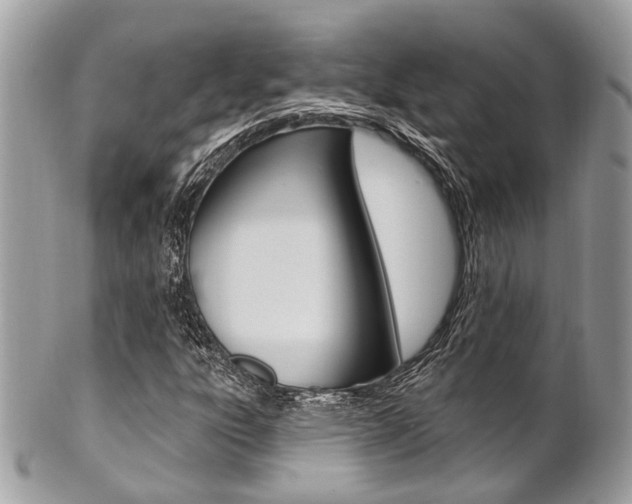 X0000101421303200807071021