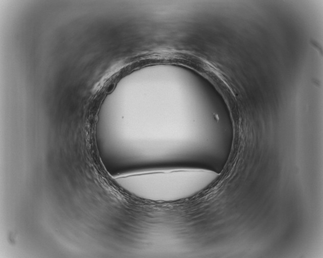 X0000101421304200807071021