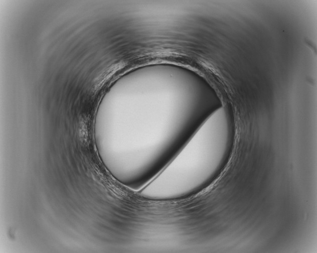 X0000101421305200807071021