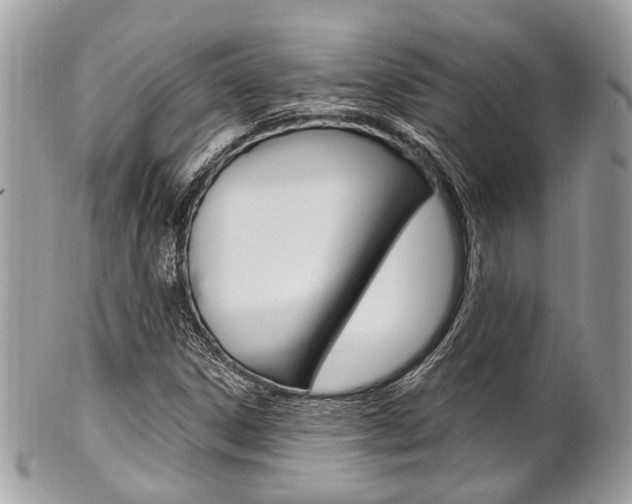 X0000101421306200807071021