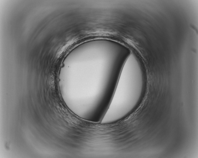 X0000101421307200807071021