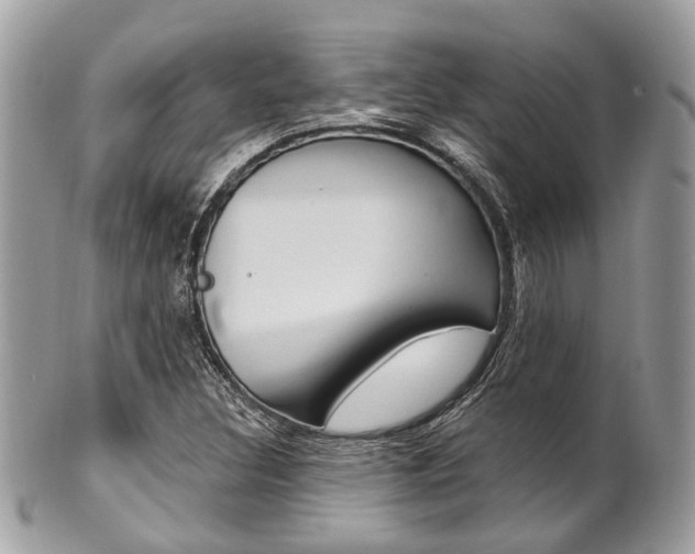 X0000101421308200807071021