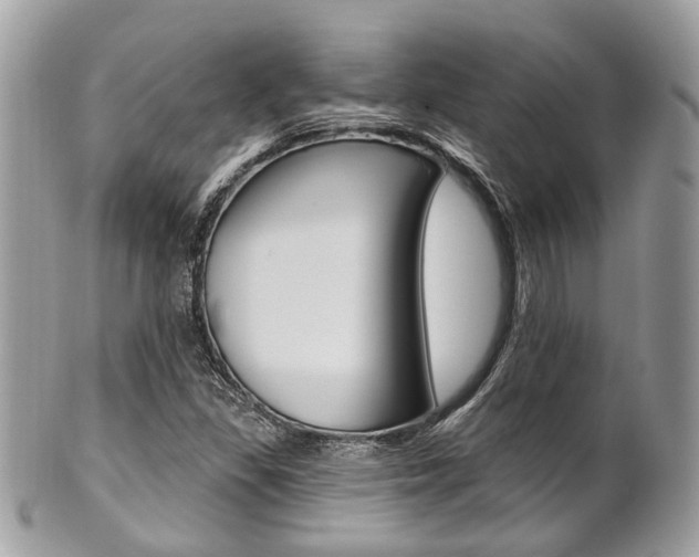 X0000101421309200807071021