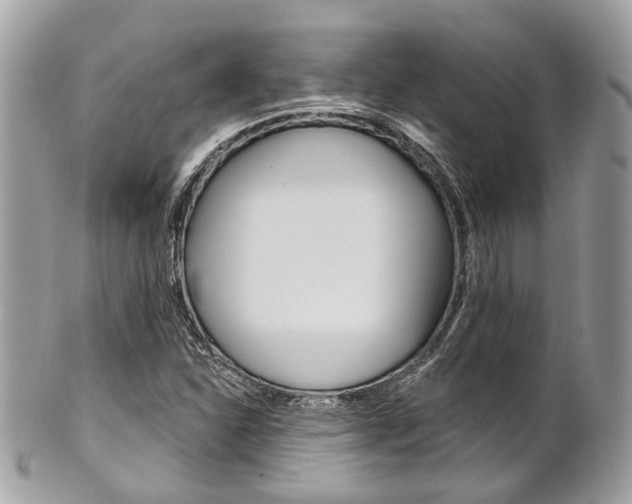 X0000101421310200807071021