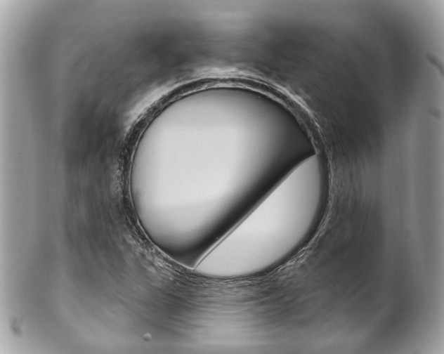 X0000101421311200807071021
