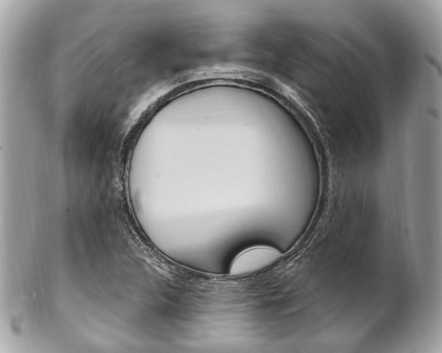 X0000101421312200807071021