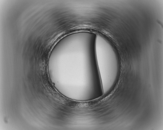 X0000101421313200807071021