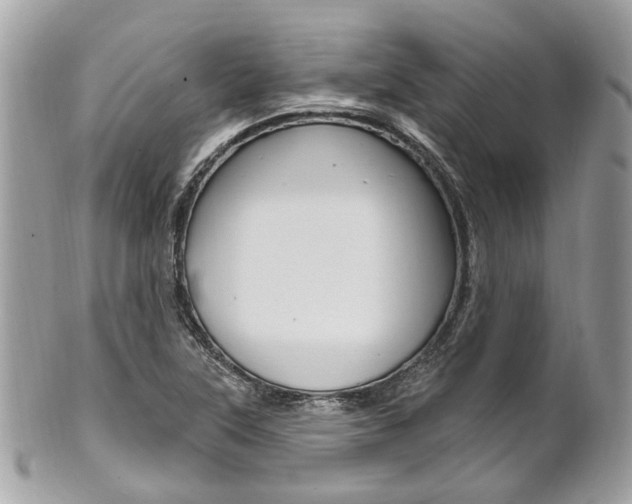 X0000101421315200807071021