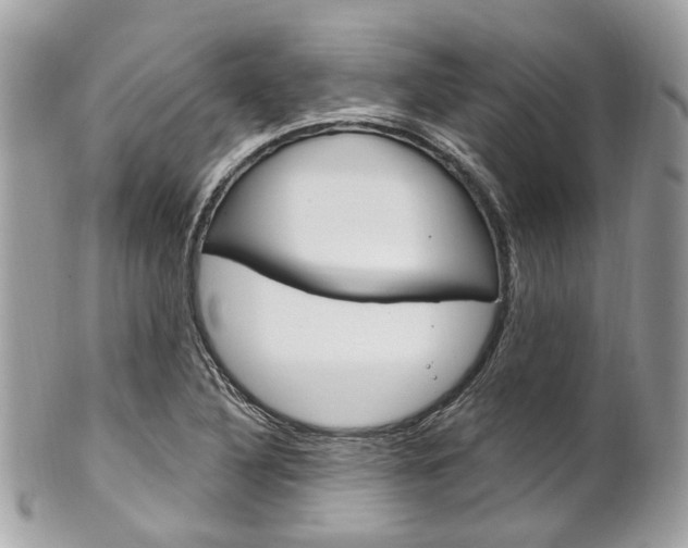 X0000101421316200807071021
