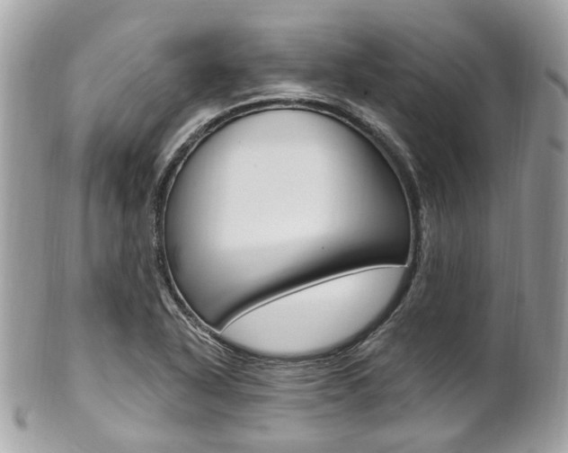 X0000101421318200807071021