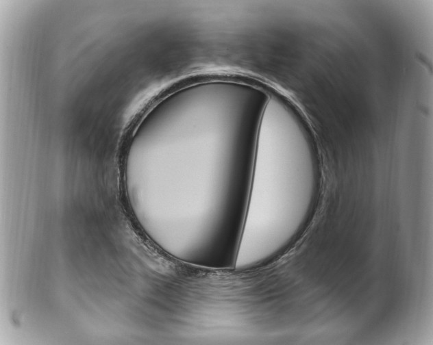 X0000101421319200807071021