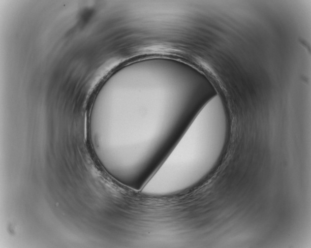 X0000101421323200807071021
