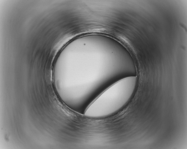 X0000101421324200807071021