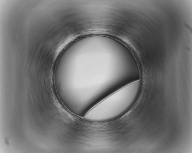 X0000101421325200807071021