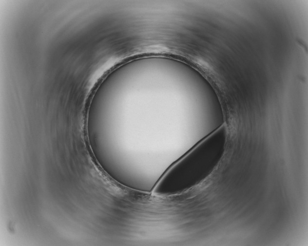 X0000101421326200807071021