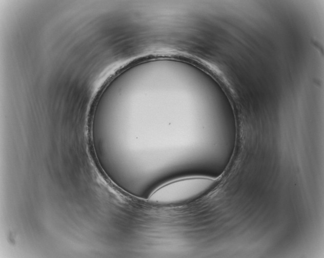 X0000101421327200807071021