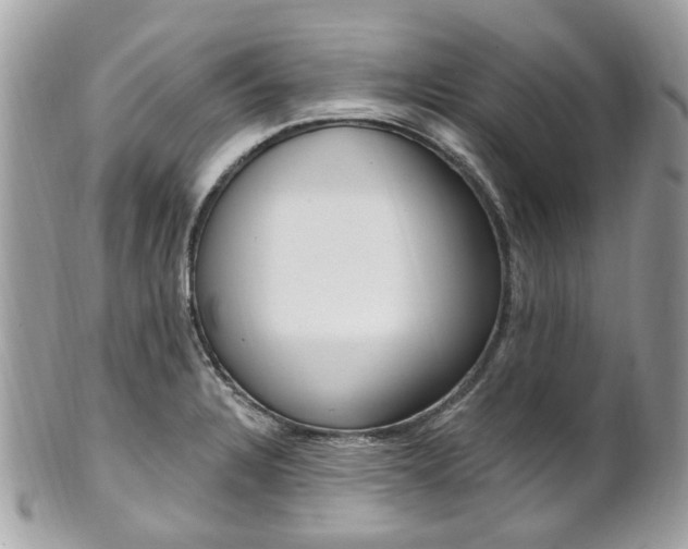 X0000101421328200807071021
