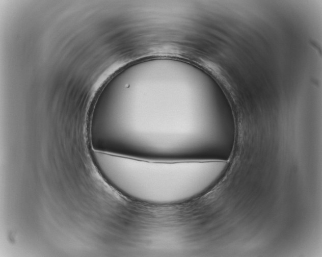 X0000101421331200807071021