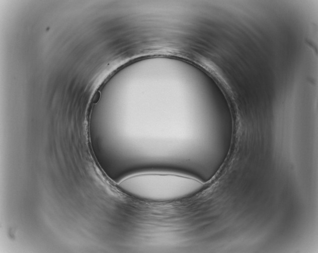 X0000101421332200807071021