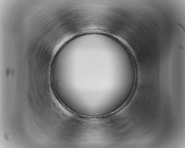 X0000101421333200807071021
