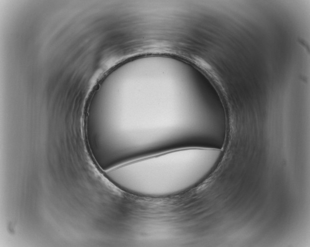 X0000101421334200807071021