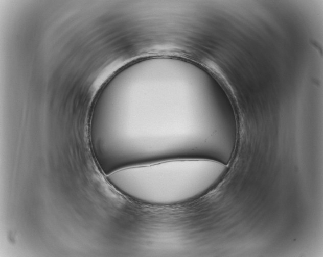 X0000101421336200807071022