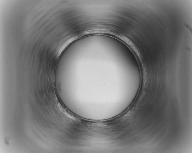 X0000101421337200807071022