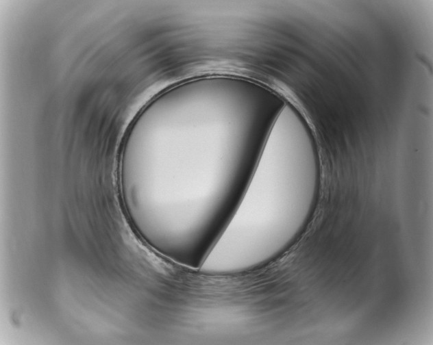 X0000101421339200807071022