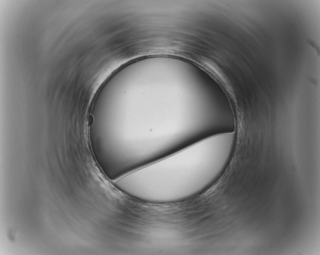 X0000101421340200807071022