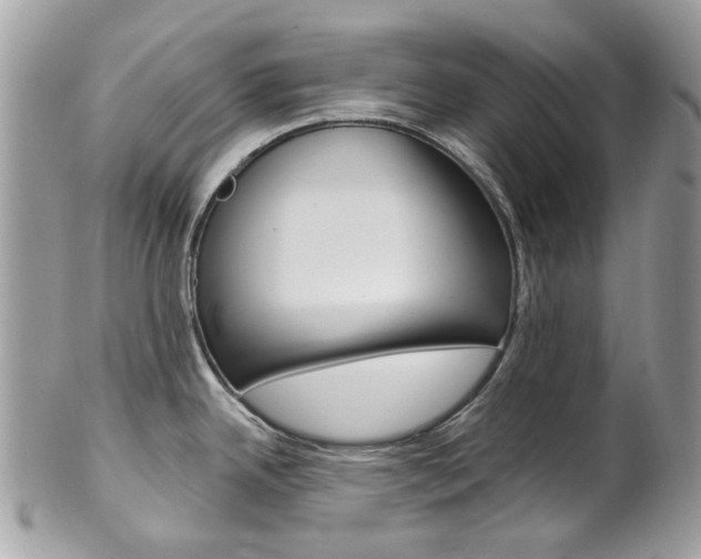 X0000101421342200807071022