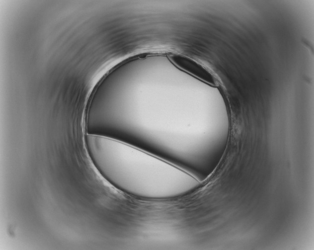 X0000101421343200807071022