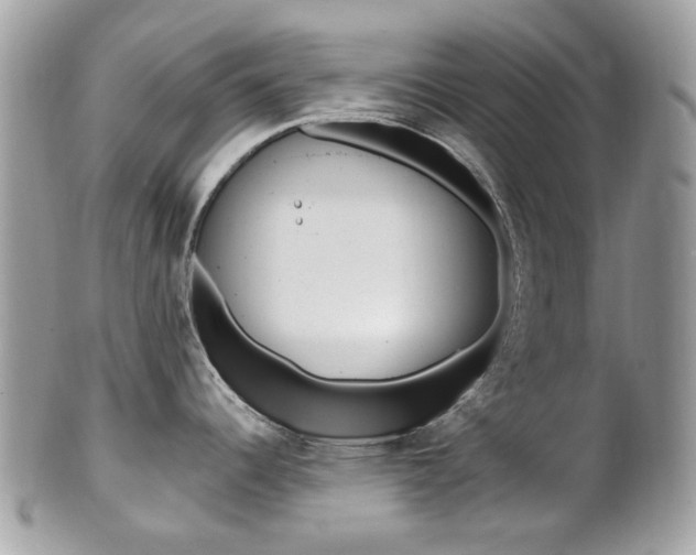X0000101421344200807071022