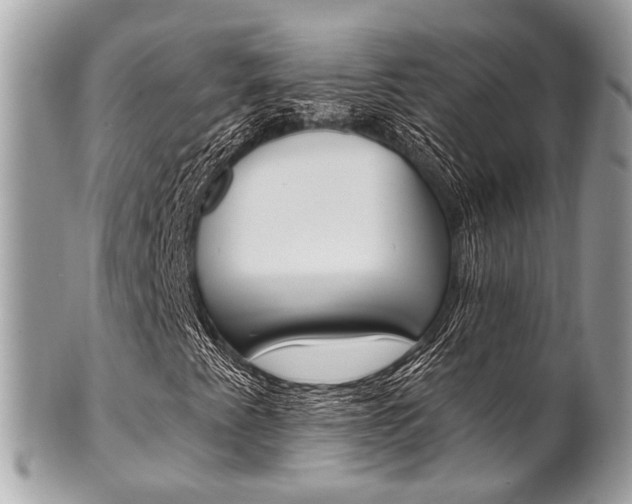 X0000101421345200807071021