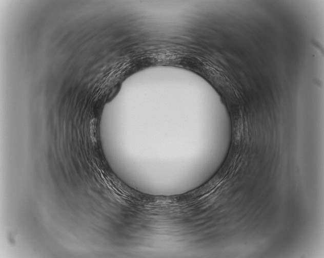 X0000101421346200807071021