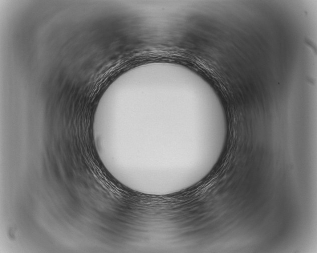 X0000101421348200807071021
