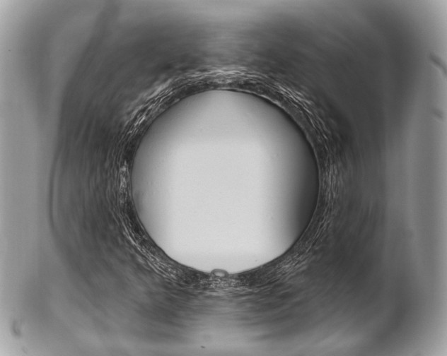 X0000101421349200807071021
