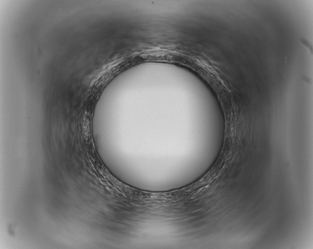 X0000101421350200807071021