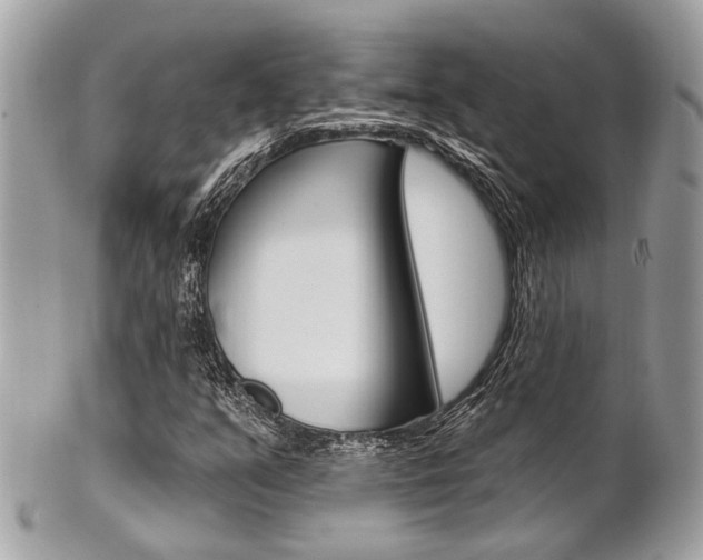 X0000101421351200807071021