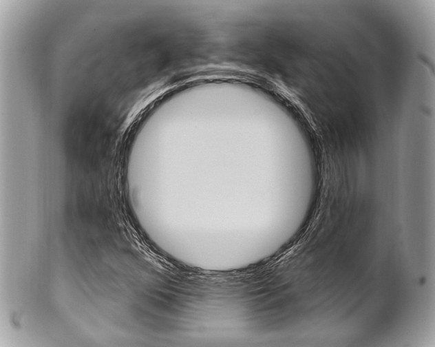 X0000101421352200807071021