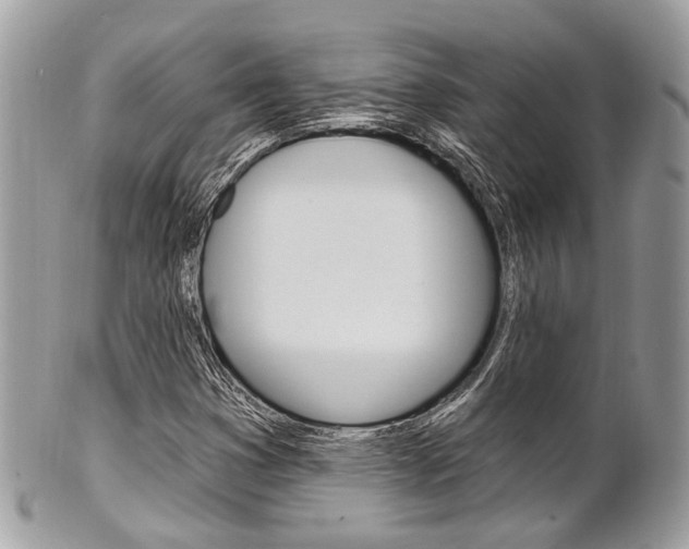X0000101421353200807071021