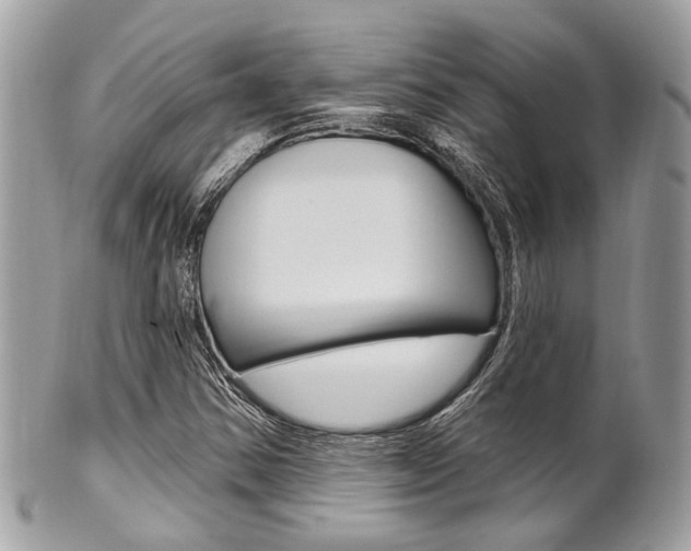 X0000101421354200807071021