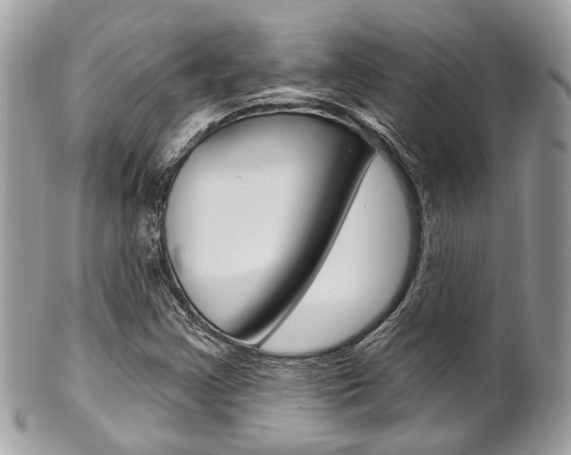 X0000101421355200807071021
