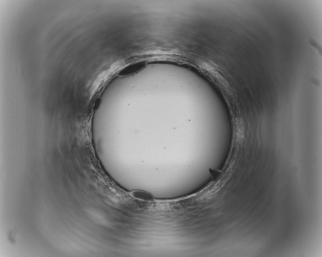 X0000101421357200807071021