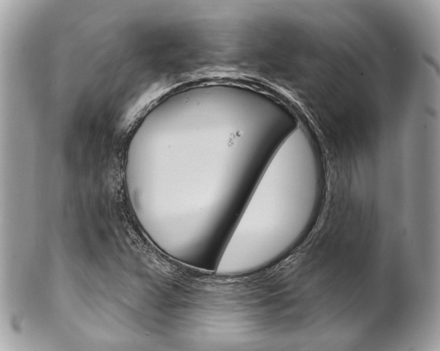X0000101421359200807071021